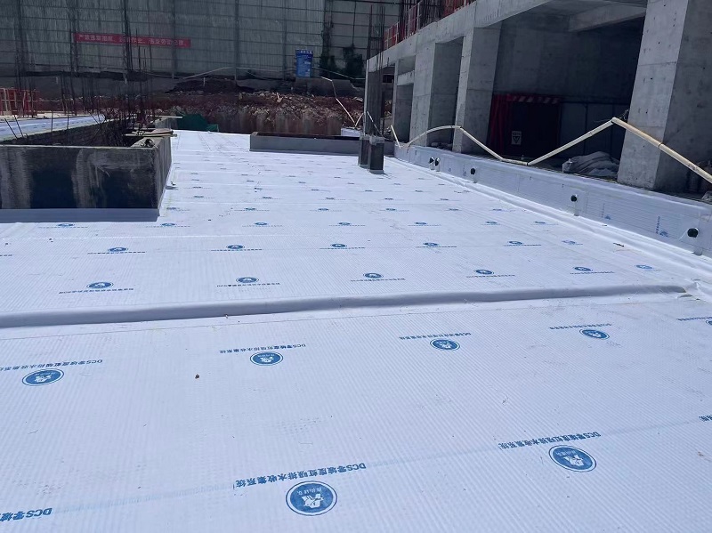 湖南DCS零坡度虹吸排水系统广西项目